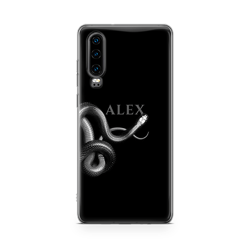 The Serpent iPhone 13 Case