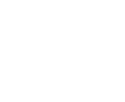 CaseFace Logo